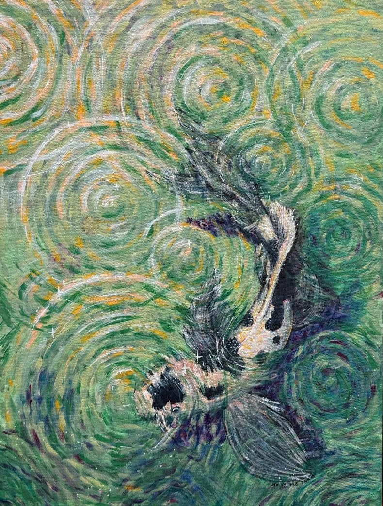 A koi fish seen from above among rain ripples on green water